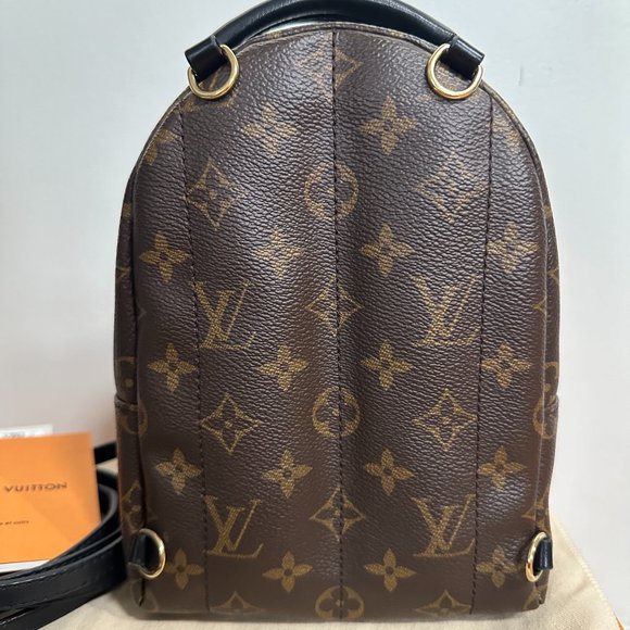 Louis Vuitton Palm Springs Mini Backpack main image 7